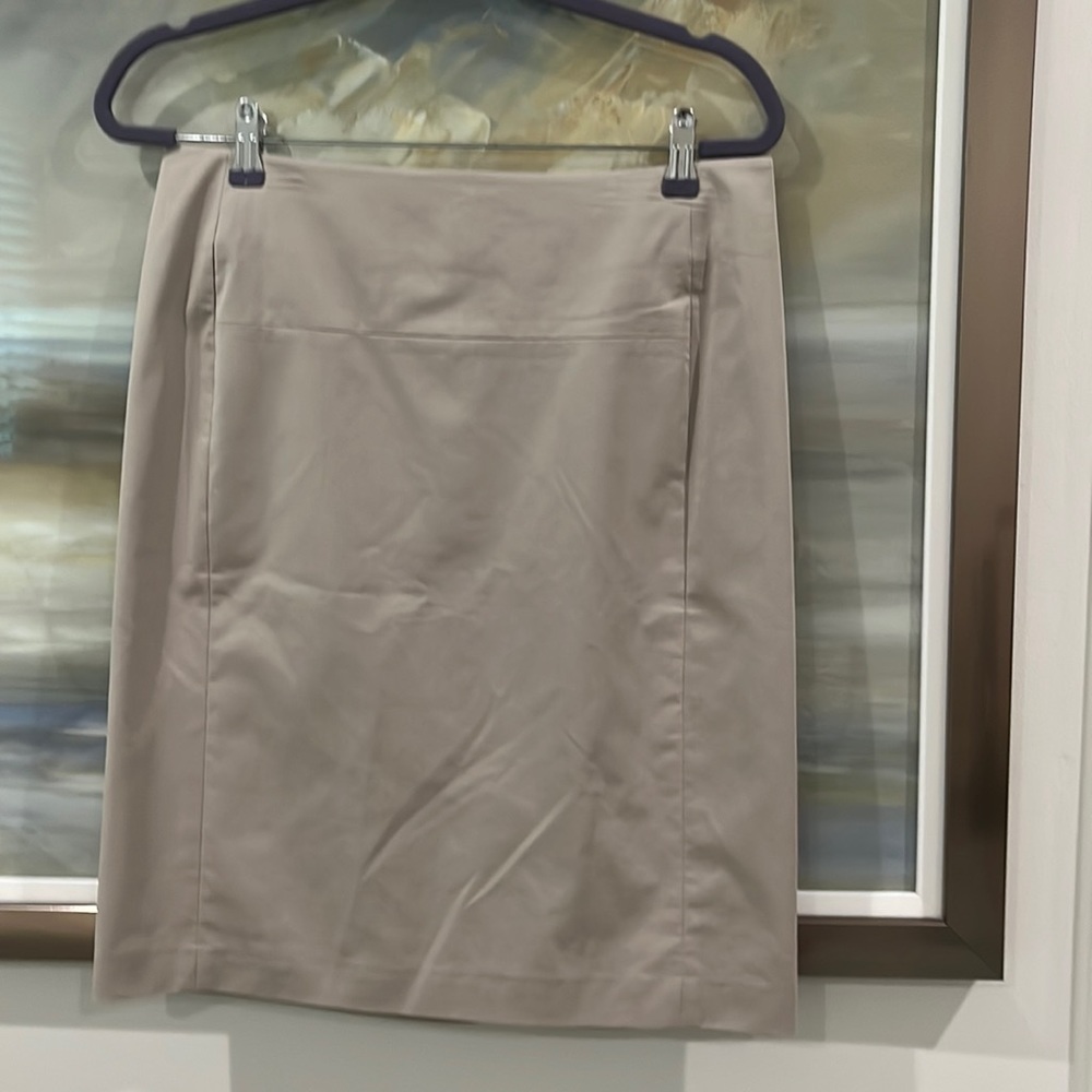 Ann Taylor skirt